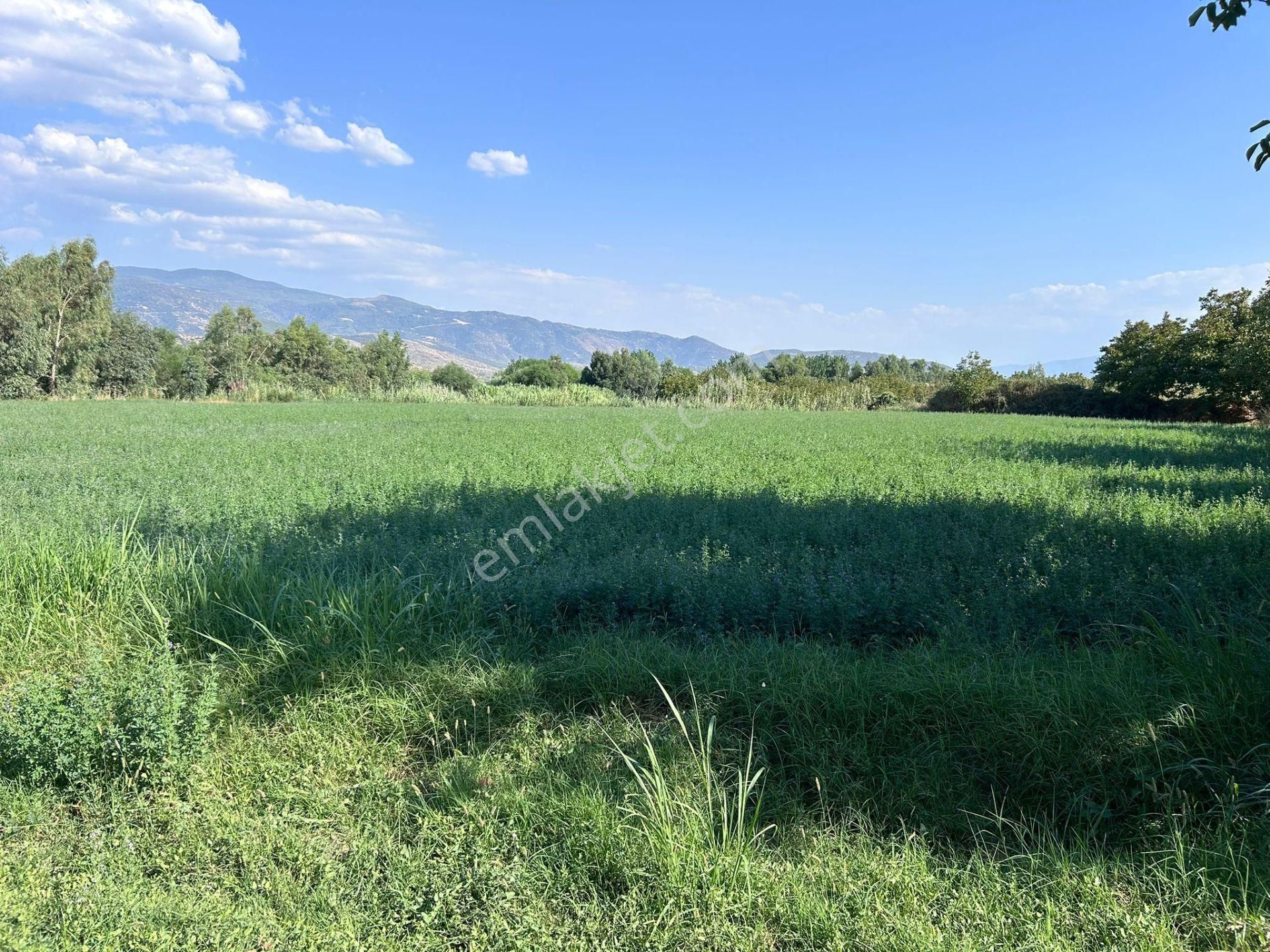 Nazilli Bozdoğan Yolu Kenarı 12716 M2 Satılık Tarla .. - Görsel 11
