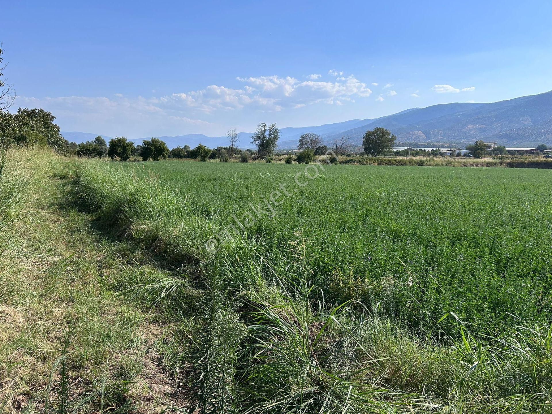 Nazilli Bozdoğan Yolu Kenarı 12716 M2 Satılık Tarla .. - Görsel 4