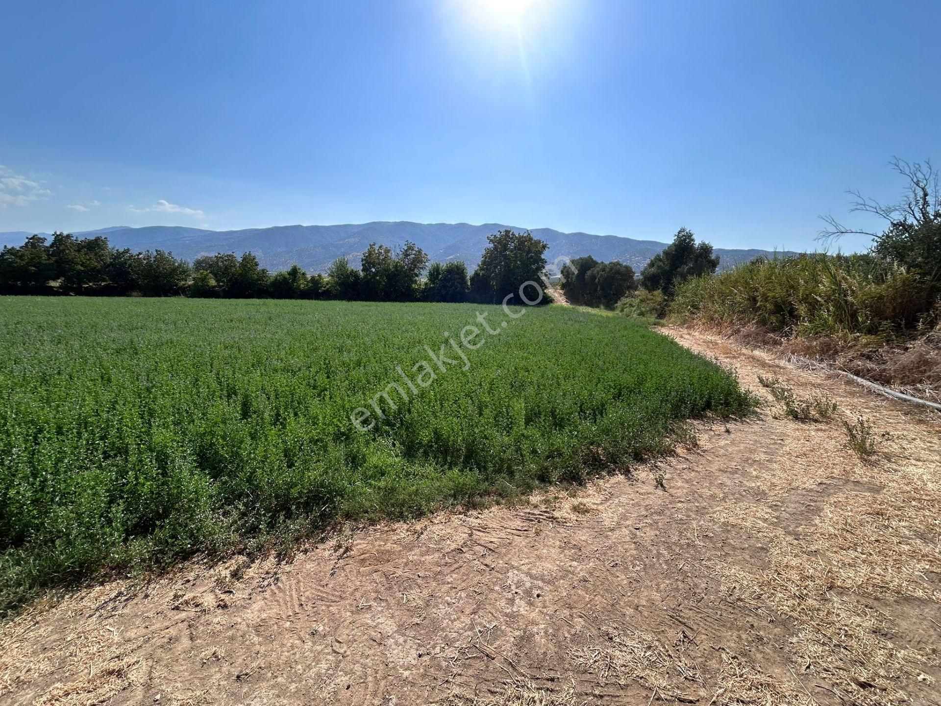 Nazilli Bozdoğan Yolu Kenarı 12716 M2 Satılık Tarla .. - Görsel 15