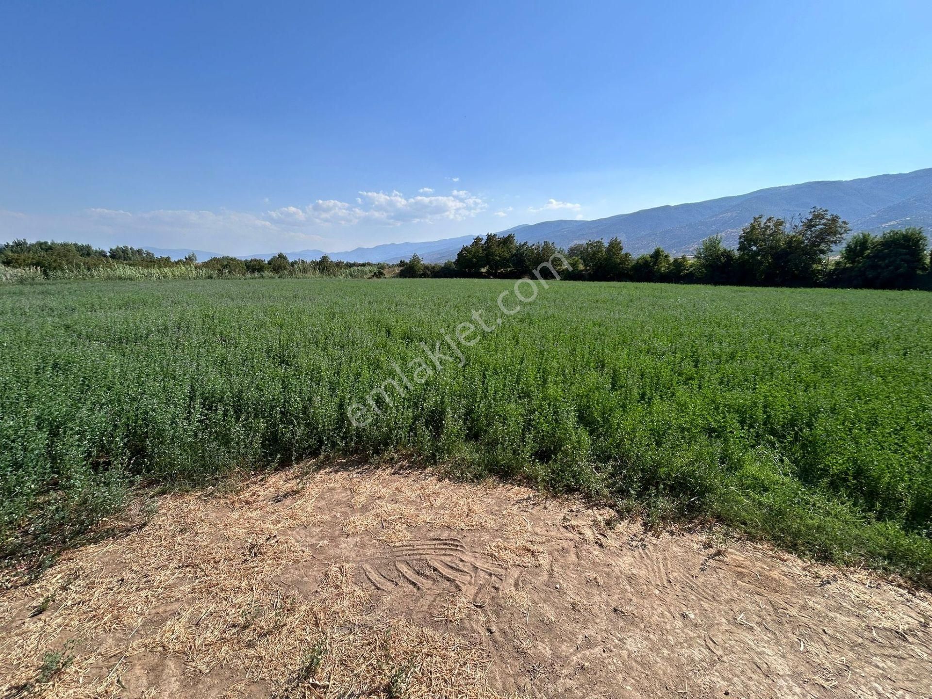 Nazilli Bozdoğan Yolu Kenarı 12716 M2 Satılık Tarla .. - Görsel 12