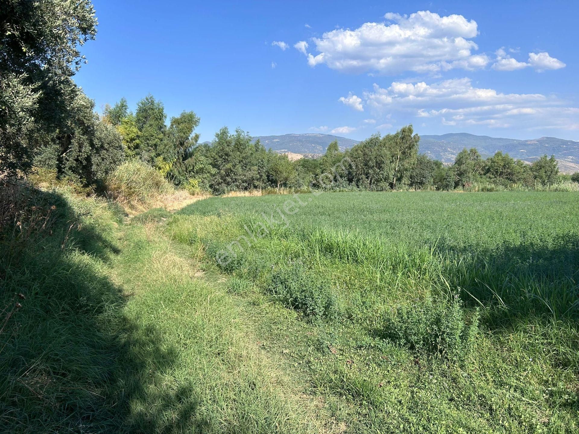 Nazilli Bozdoğan Yolu Kenarı 12716 M2 Satılık Tarla .. - Görsel 10