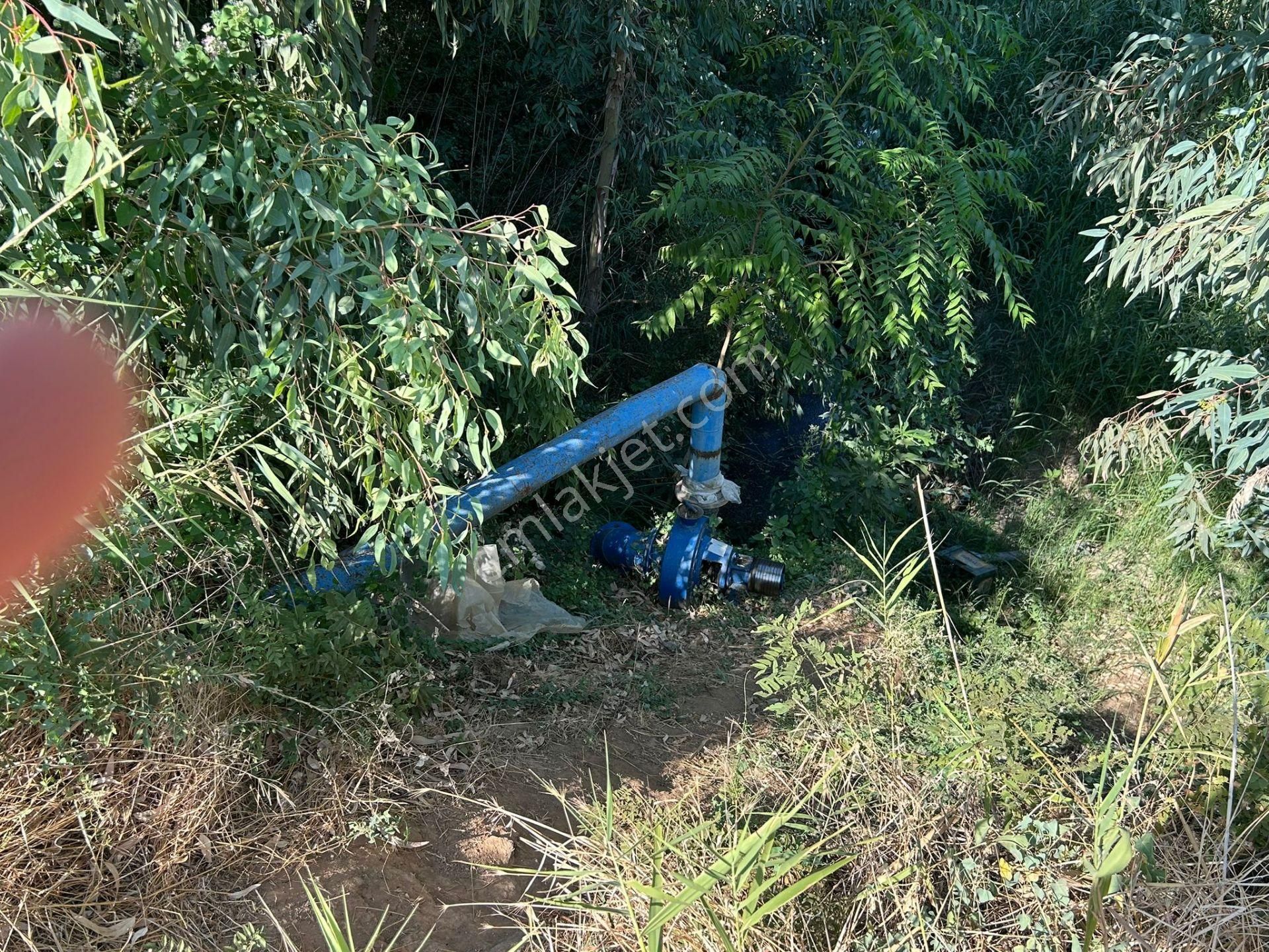 Nazilli Bozdoğan Yolu Kenarı 12716 M2 Satılık Tarla .. - Görsel 13