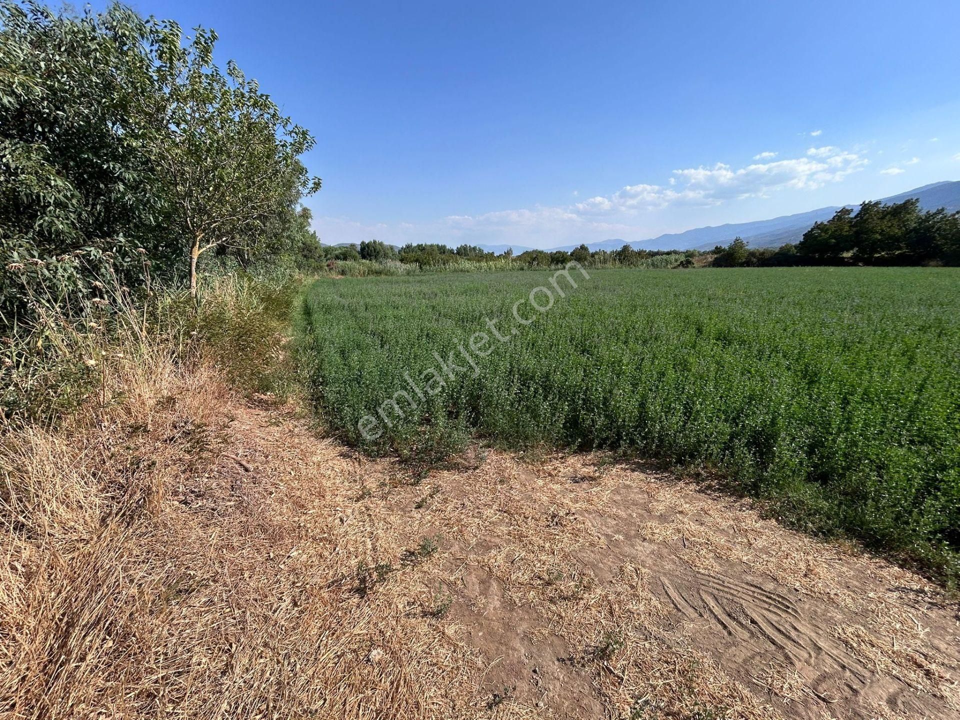 Nazilli Bozdoğan Yolu Kenarı 12716 M2 Satılık Tarla .. - Görsel 14