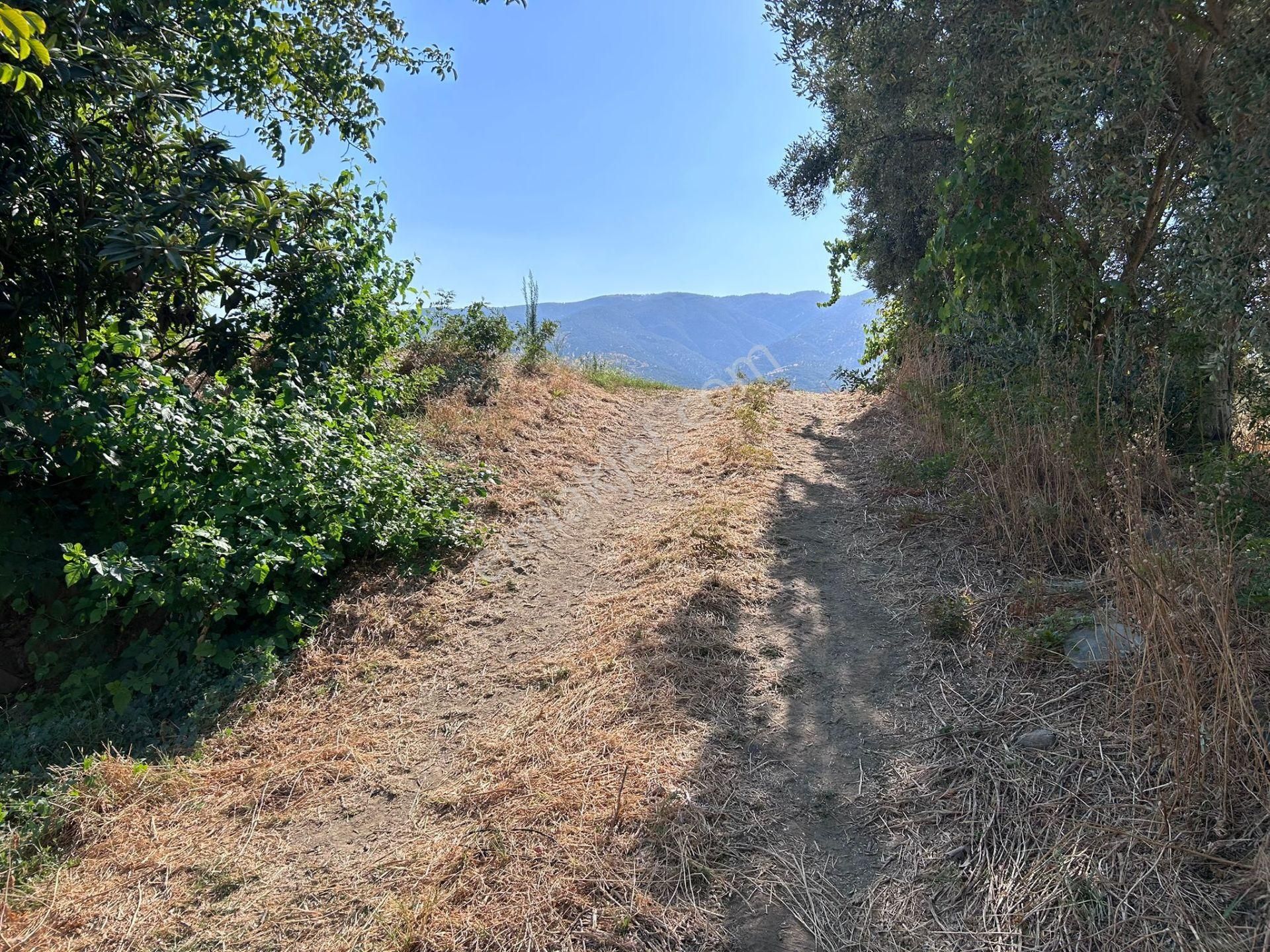 Nazilli Bozdoğan Yolu Kenarı 12716 M2 Satılık Tarla .. - Görsel 6