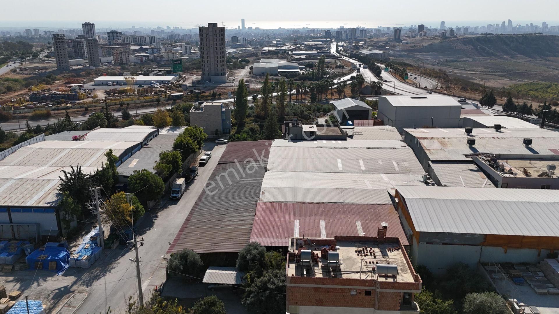 Bolkar Emlaktan Çopurluda Satılık Müstakil Ev Ve Arsası - Görsel 35