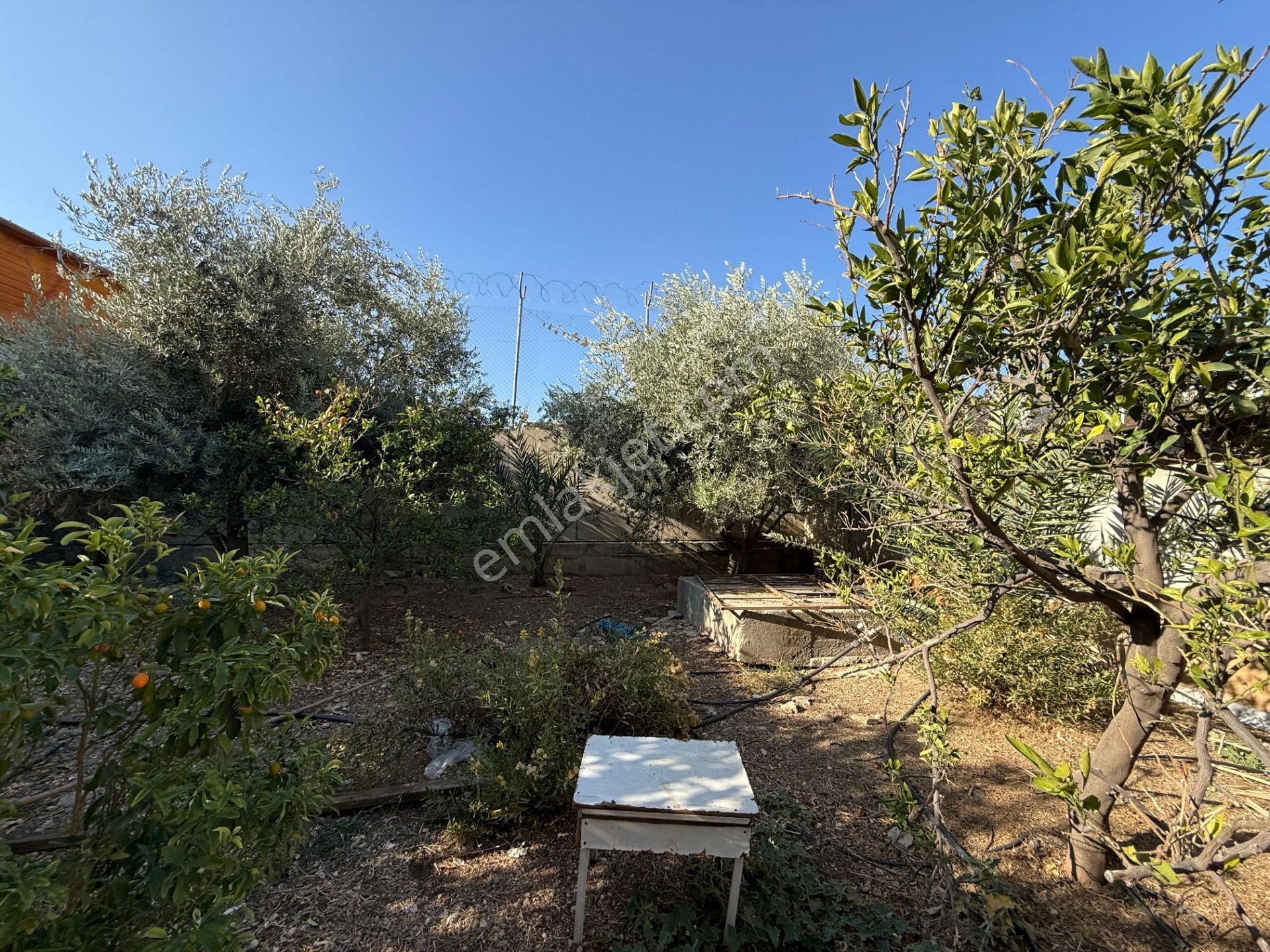 Bolkar Emlaktan Çopurluda Satılık Müstakil Ev Ve Arsası - Görsel 29