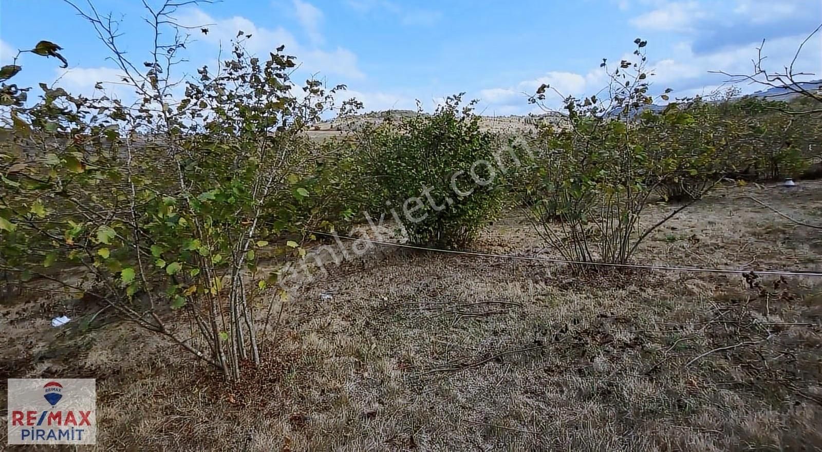 Ağva Geredeli'de Kaçırılmayacak Fırsat - Görsel 2