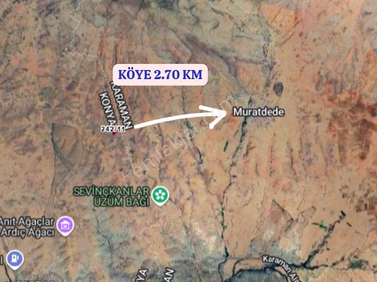 Karaman Merkez Muratdede Köyünde 5.746 M² Üzüm Bağı Satılıktır - Görsel 7