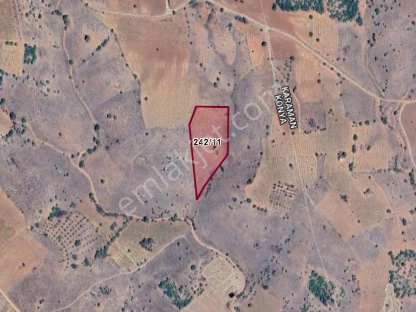 Karaman Merkez Muratdede Köyünde 5.746 M² Üzüm Bağı Satılıktır - Görsel 3