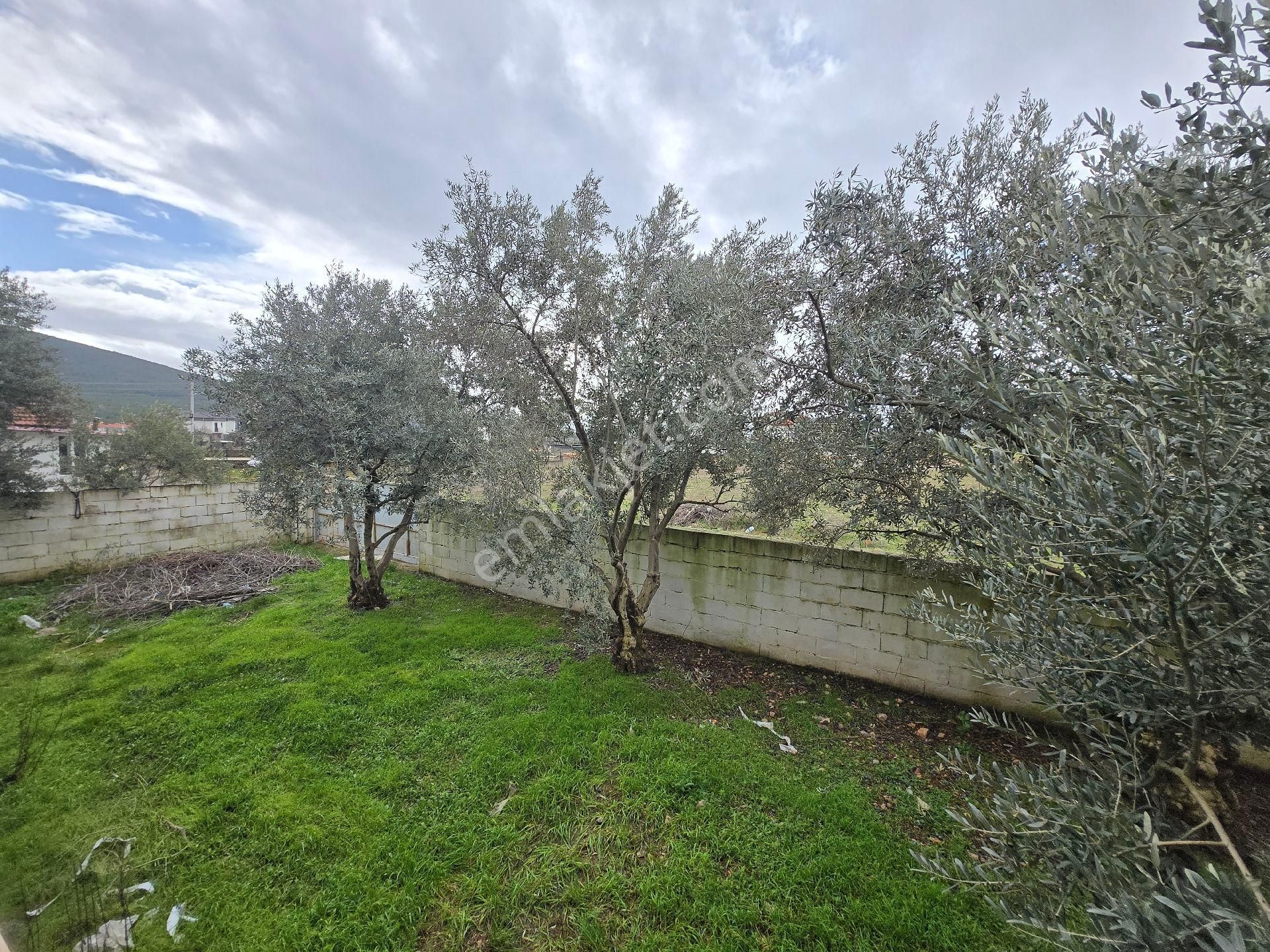 Müstakil Bahçeli Muhteşem - Görsel 18