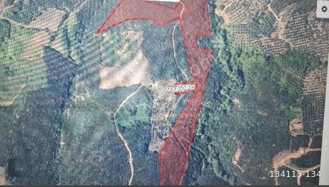 Evim Gayrimenkul'den Satılık Sahil Yenice De Tarla - Görsel 3
