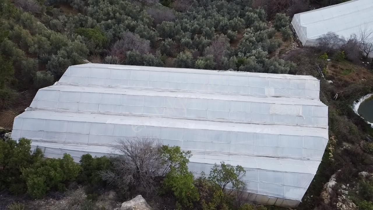 Alanya Kayabaşı Mah.sökelli Mevkii Seralı Satılık 1330 M2 Tarla - Görsel 3
