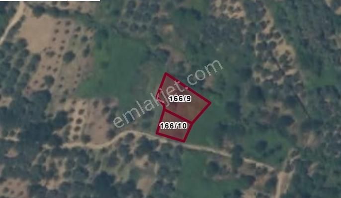 Evim Gayrimenkul 'den Satılık Bahçe