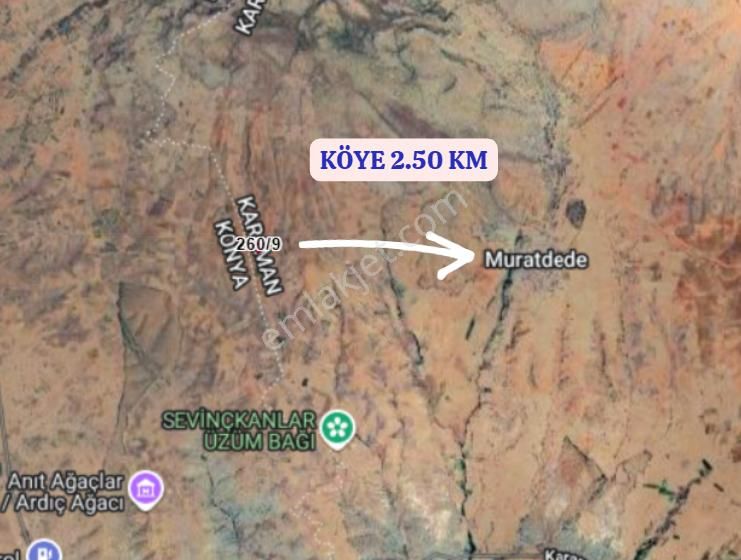 Karaman Merkez Muratdede Köyünde 3.472 M² Bağ Satılıktır - Görsel 7