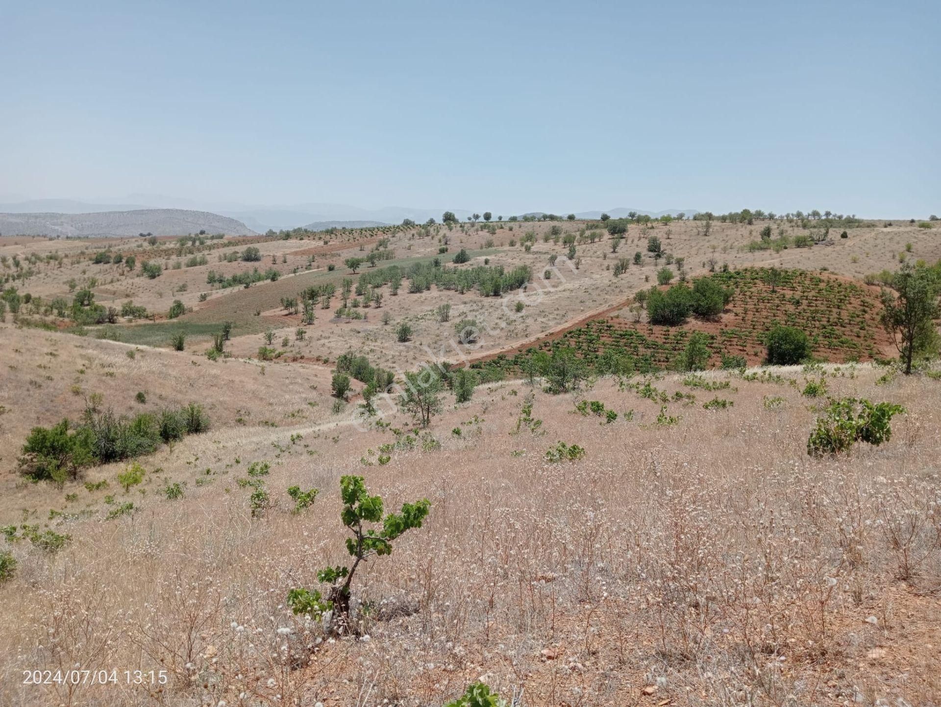 Karaman Merkez Muratdede Köyünde 3.472 M² Bağ Satılıktır - Görsel 5