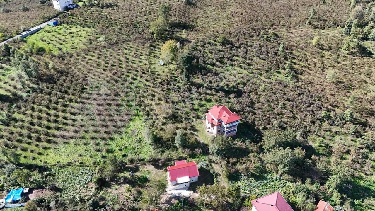 Persembe Efirli Mah.acil Satılık Müstakil Parsel - Görsel 2