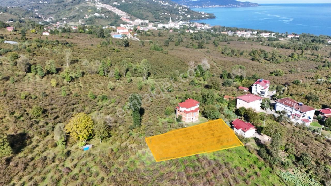 Persembe Efirli Mah.acil Satılık Müstakil Parsel - Görsel 7