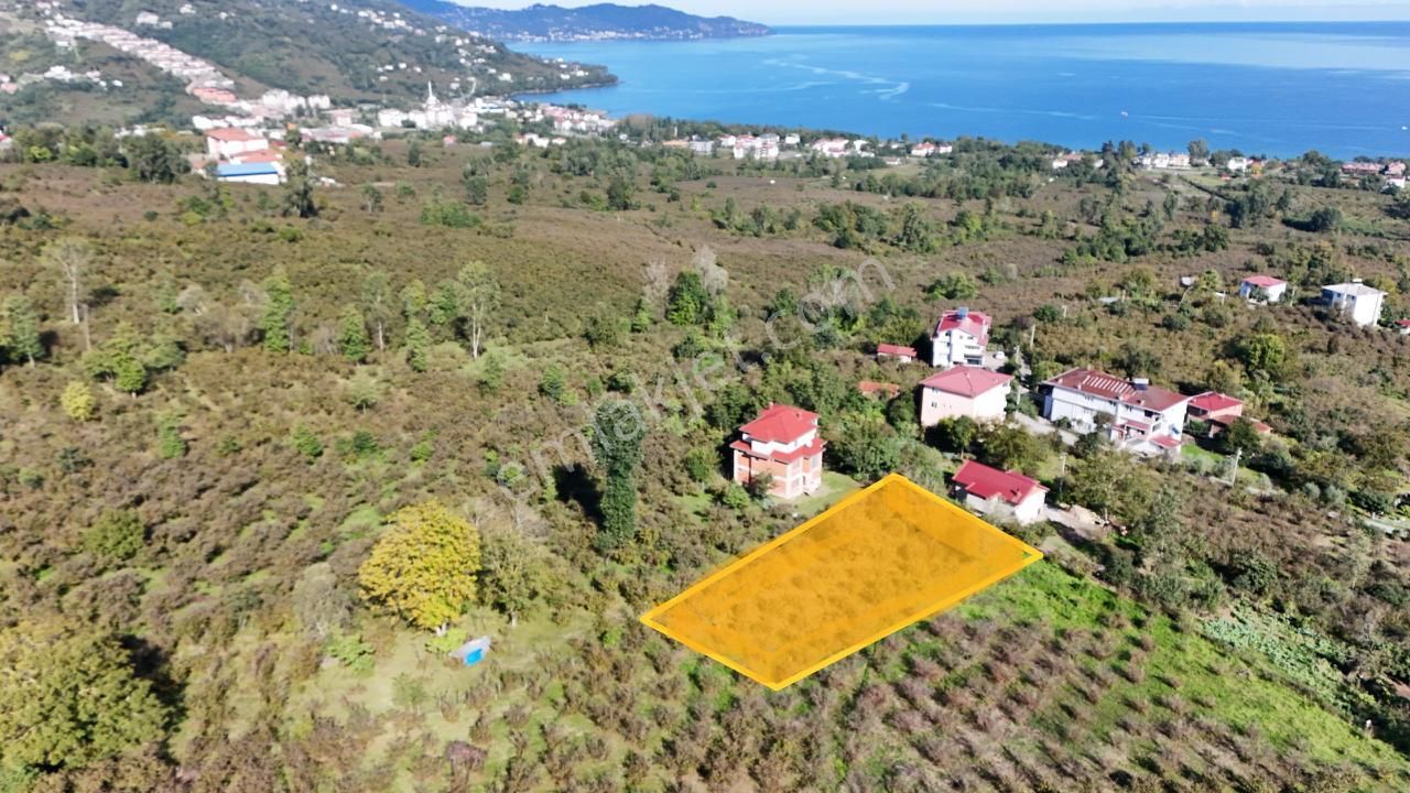 Persembe Efirli Mah.acil Satılık Müstakil Parsel