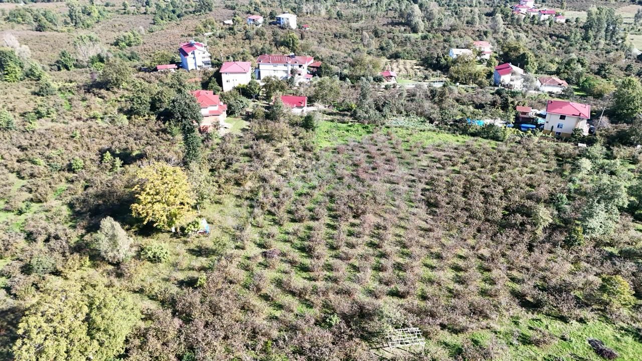 Persembe Efirli Mah.acil Satılık Müstakil Parsel - Görsel 10