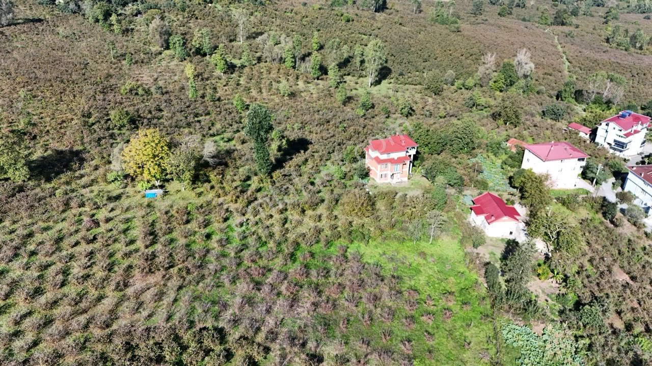 Persembe Efirli Mah.acil Satılık Müstakil Parsel - Görsel 6