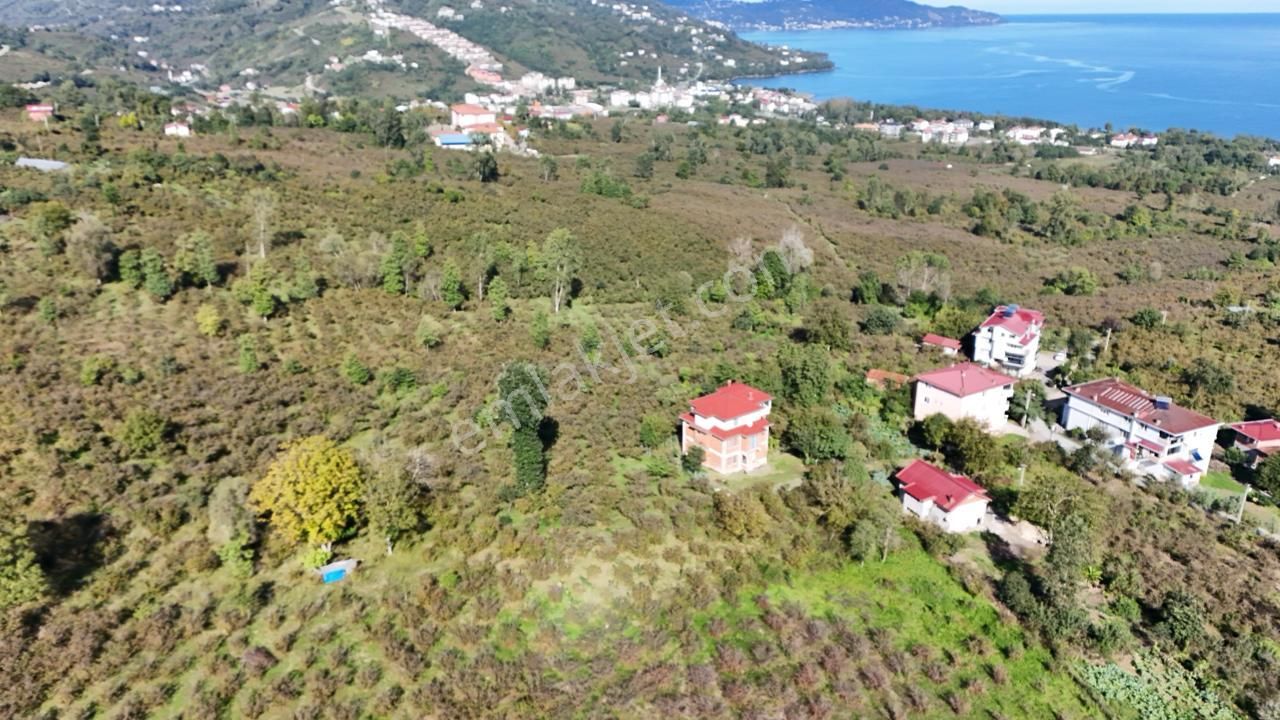 Persembe Efirli Mah.acil Satılık Müstakil Parsel - Görsel 3