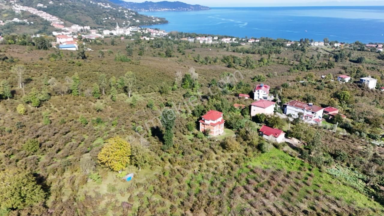 Persembe Efirli Mah.acil Satılık Müstakil Parsel - Görsel 5