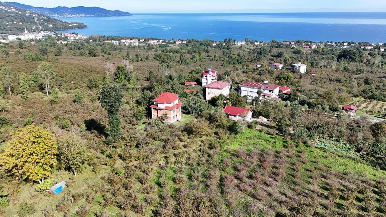 Persembe Efirli Mah.acil Satılık Müstakil Parsel - Görsel 9