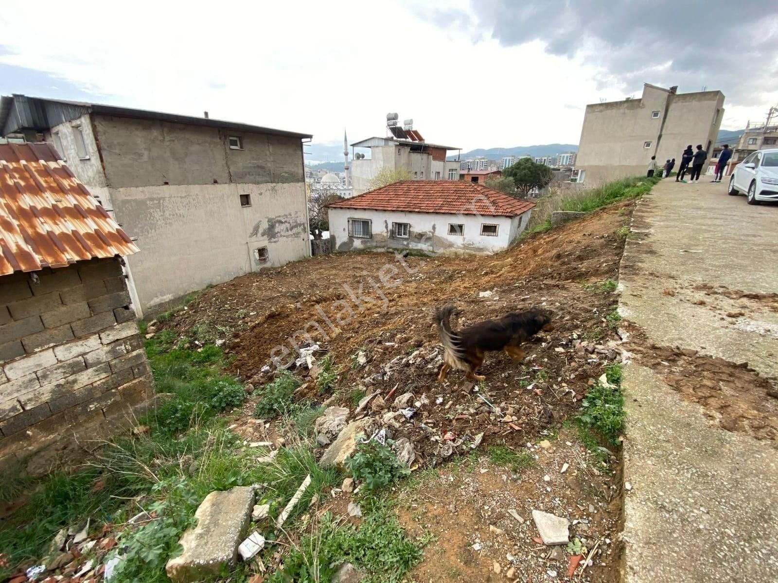 Hs' Den Fırsat Arsa