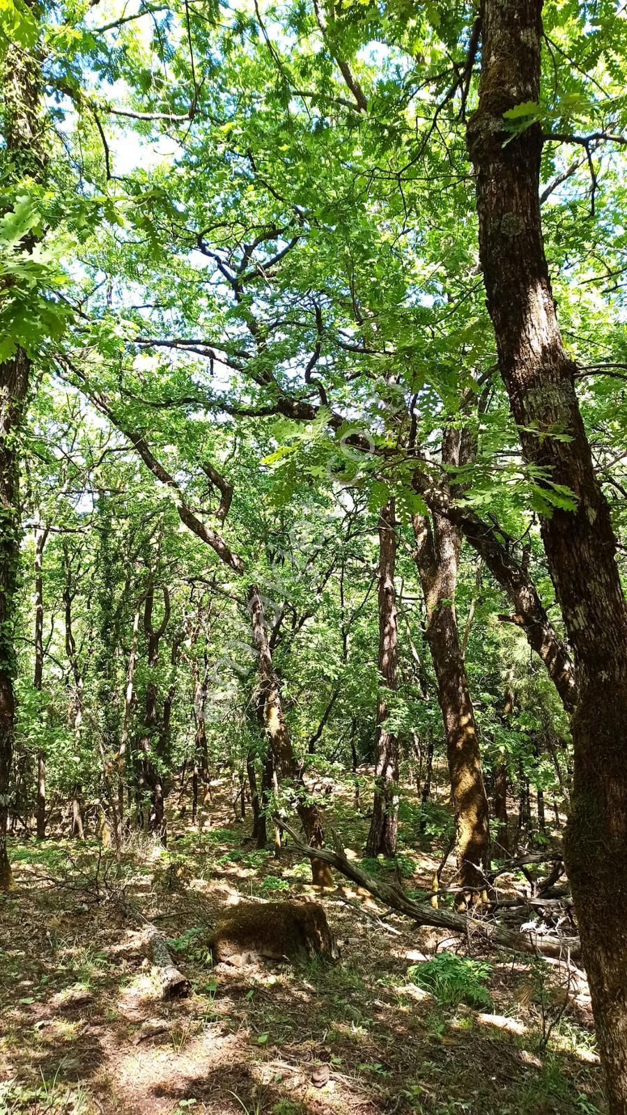 Kuşadası Güzelçamlıda Sıfır Yapım Satılık Eşyalı 1+1 Daire - Görsel 43