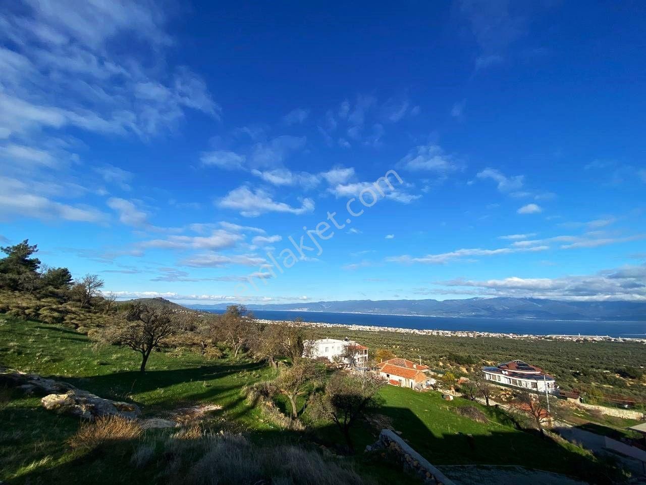 🏡aktiften Tayleli'de Huzur'un Sesizligin Adresi 3+1 Satılık Dubleks - Görsel 2