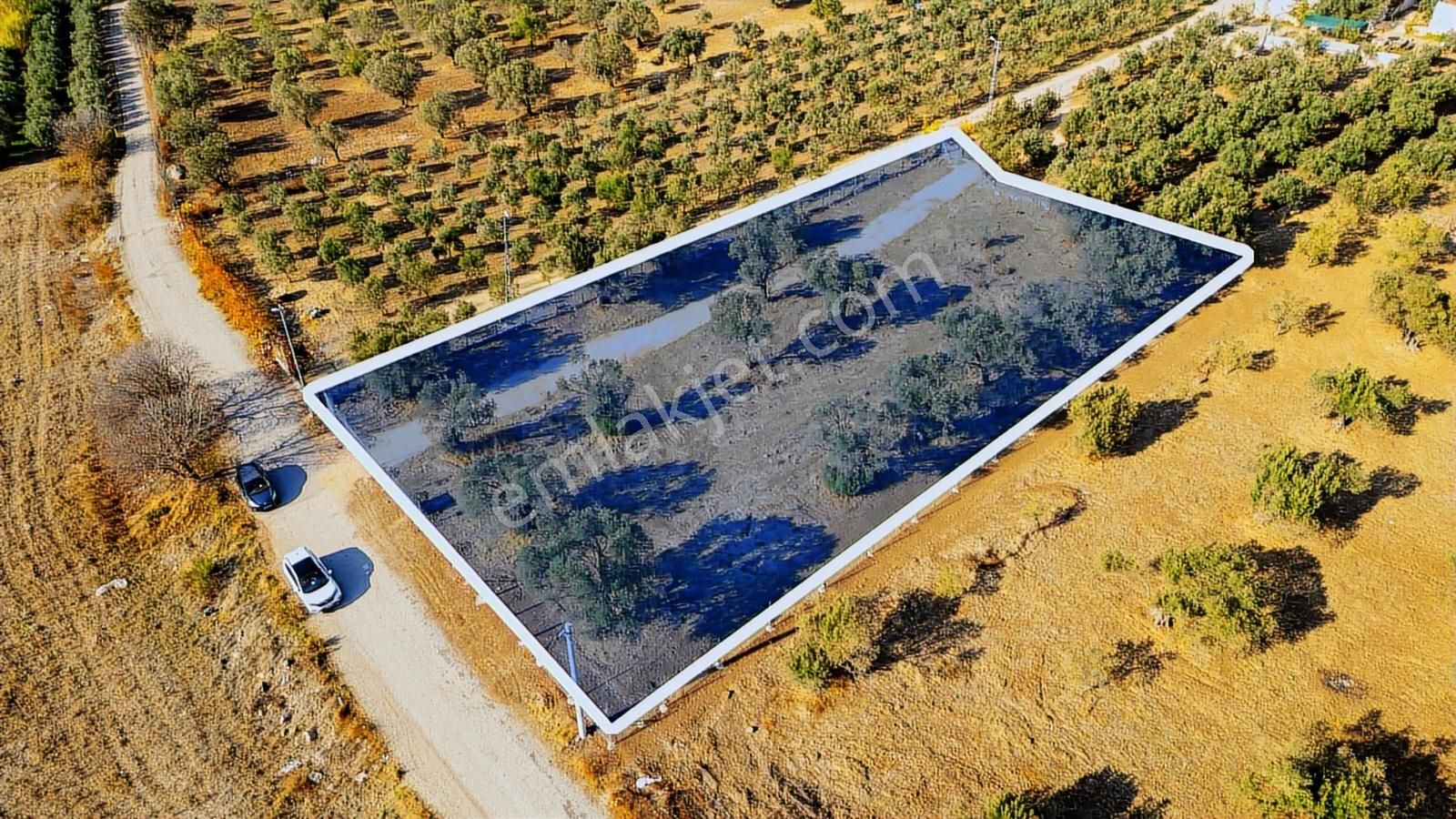 Foça Kocamehmetler'de Yol Üzeri Satılık 2 Dönüm Tarla - Görsel 33