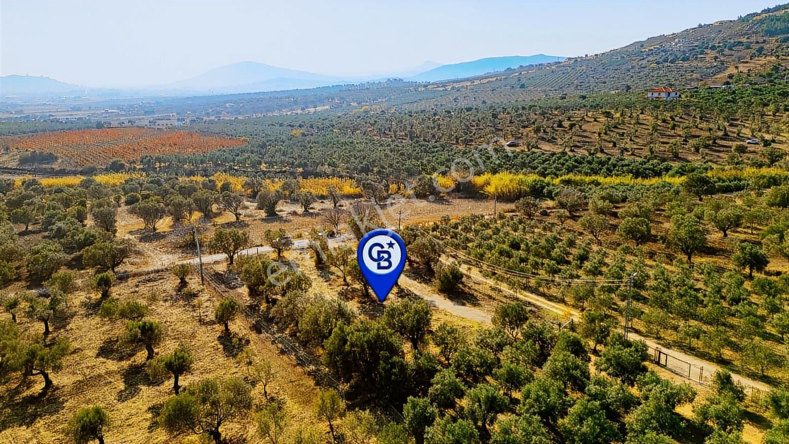 Foça Kocamehmetler'de Yol Üzeri Satılık 2 Dönüm Tarla - Görsel 11