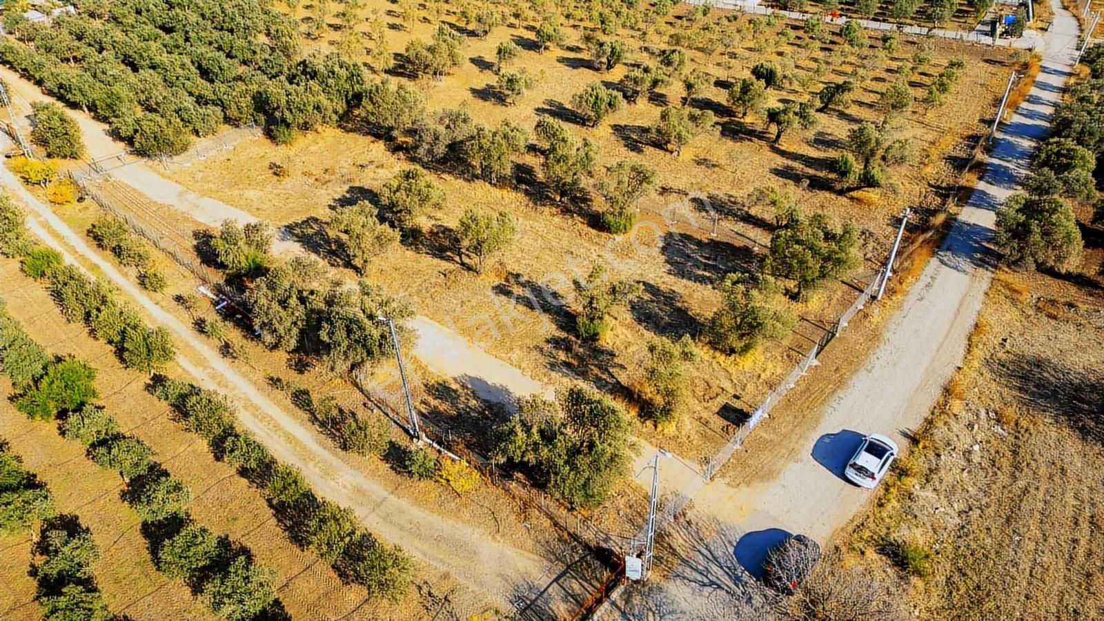 Foça Kocamehmetler'de Yol Üzeri Satılık 2 Dönüm Tarla - Görsel 7