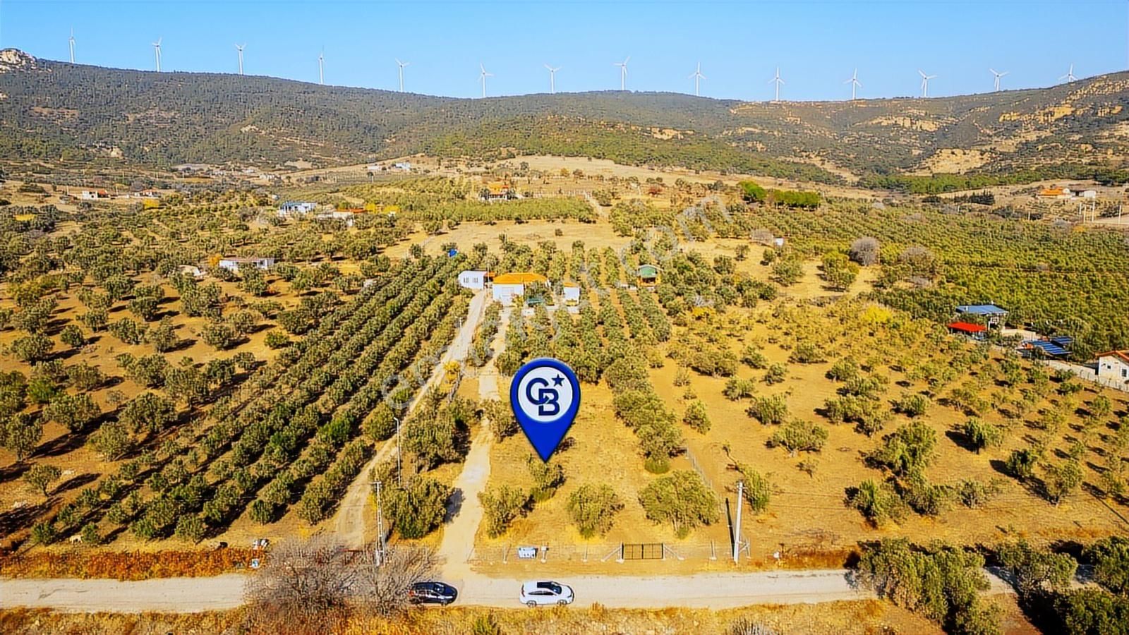 Foça Kocamehmetler'de Yol Üzeri Satılık 2 Dönüm Tarla - Görsel 16