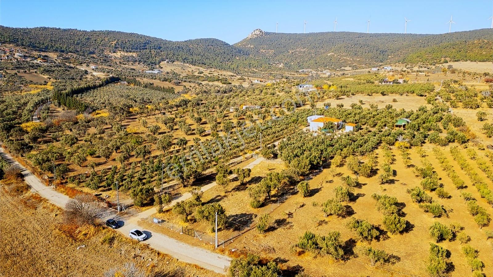 Foça Kocamehmetler'de Yol Üzeri Satılık 2 Dönüm Tarla - Görsel 5