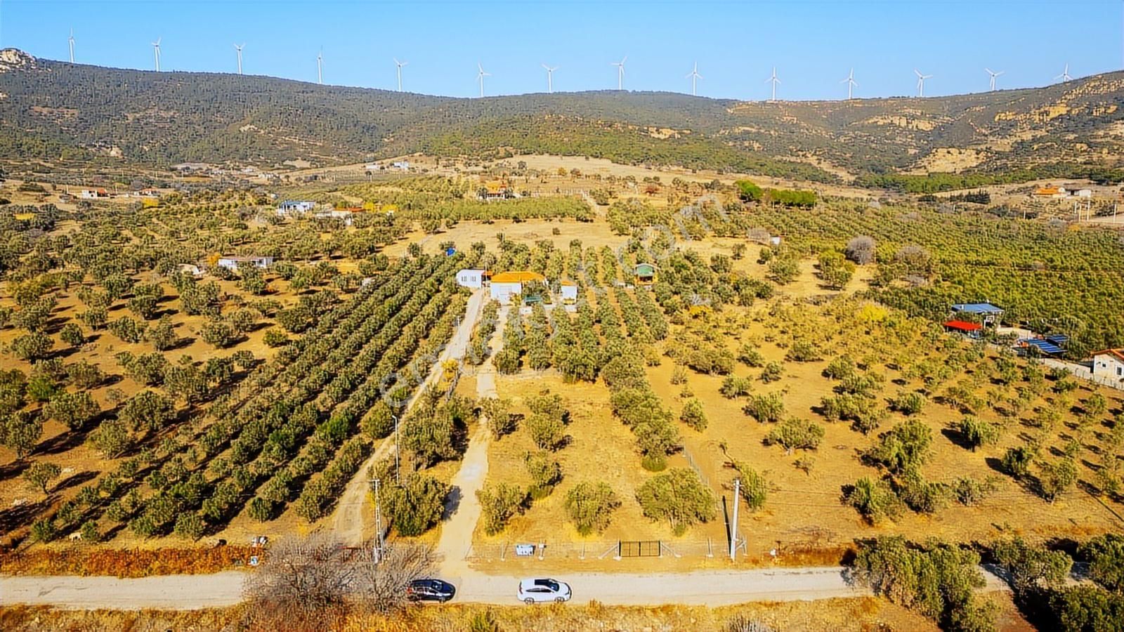 Foça Kocamehmetler'de Yol Üzeri Satılık 2 Dönüm Tarla - Görsel 23