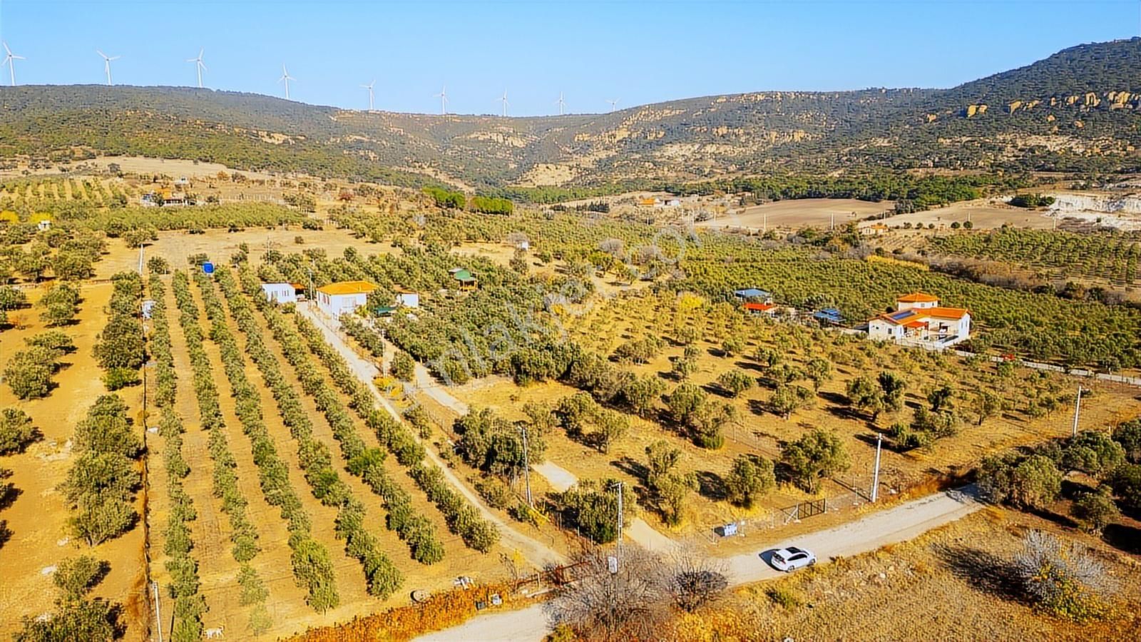 Foça Kocamehmetler'de Yol Üzeri Satılık 2 Dönüm Tarla - Görsel 24