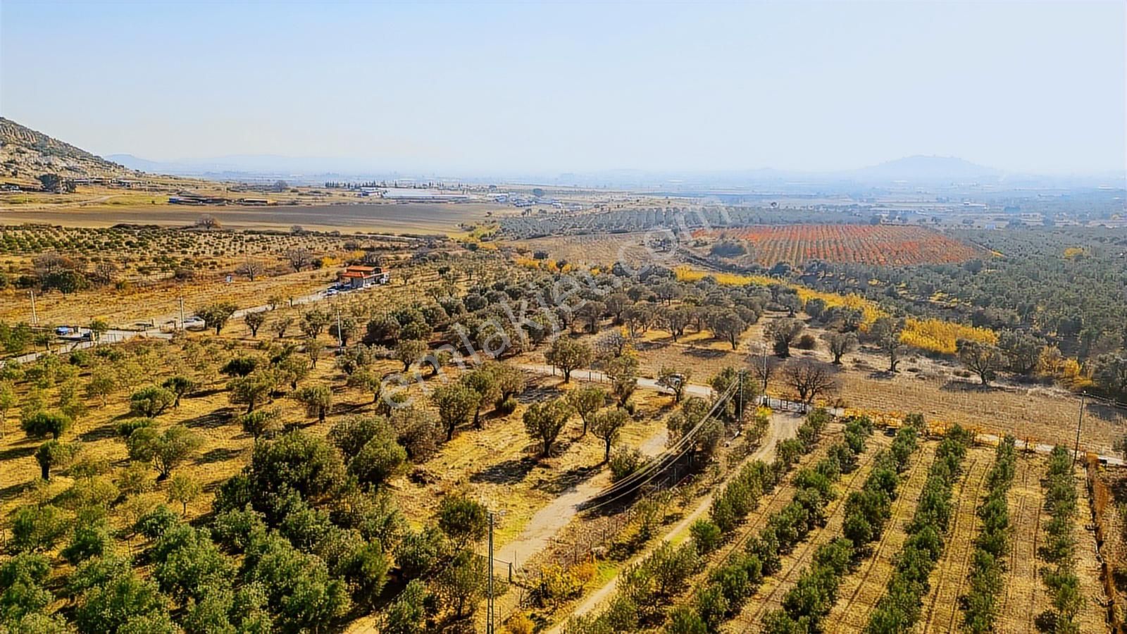 Foça Kocamehmetler'de Yol Üzeri Satılık 2 Dönüm Tarla - Görsel 20