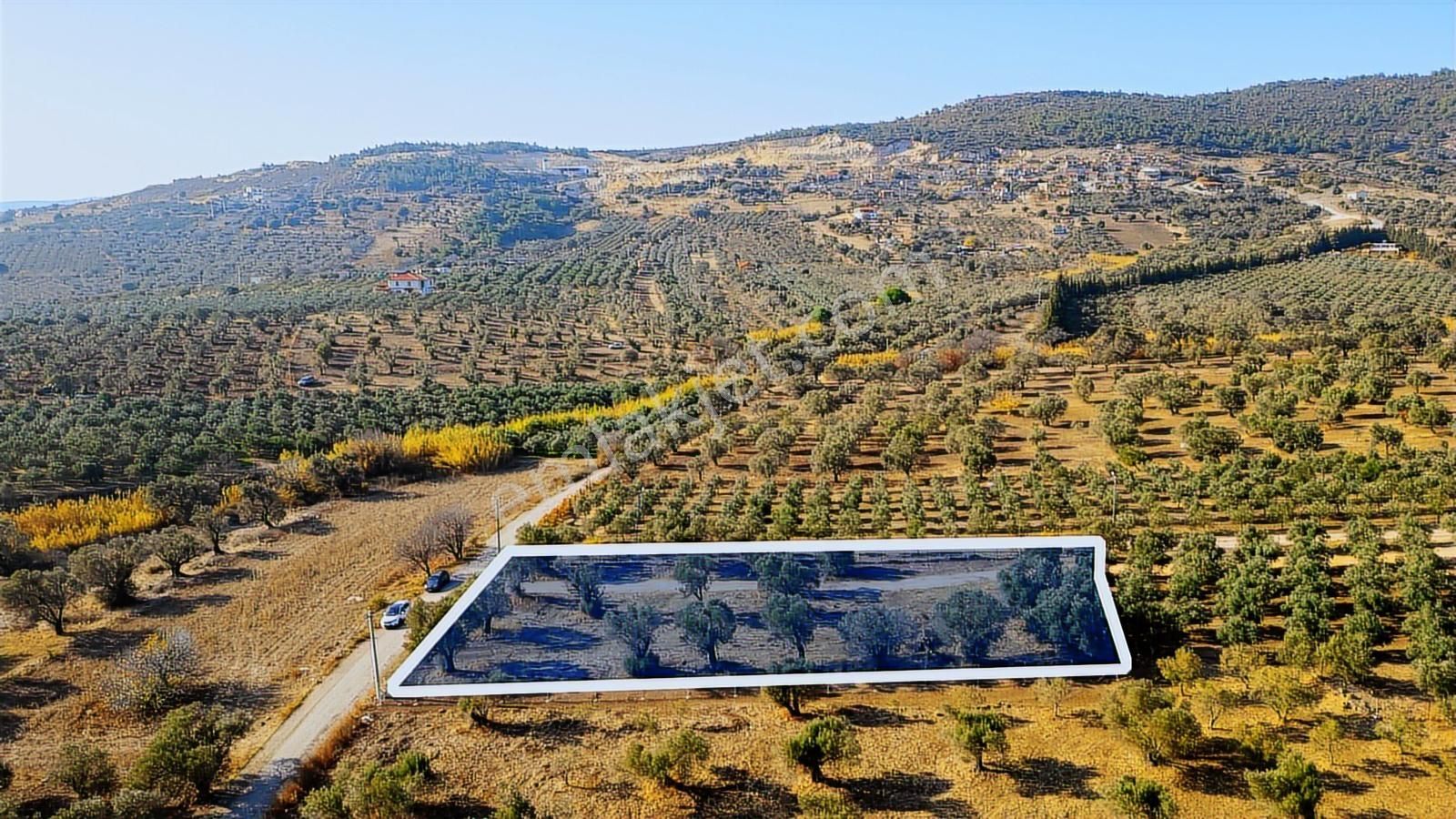 Foça Kocamehmetler'de Yol Üzeri Satılık 2 Dönüm Tarla - Görsel 2