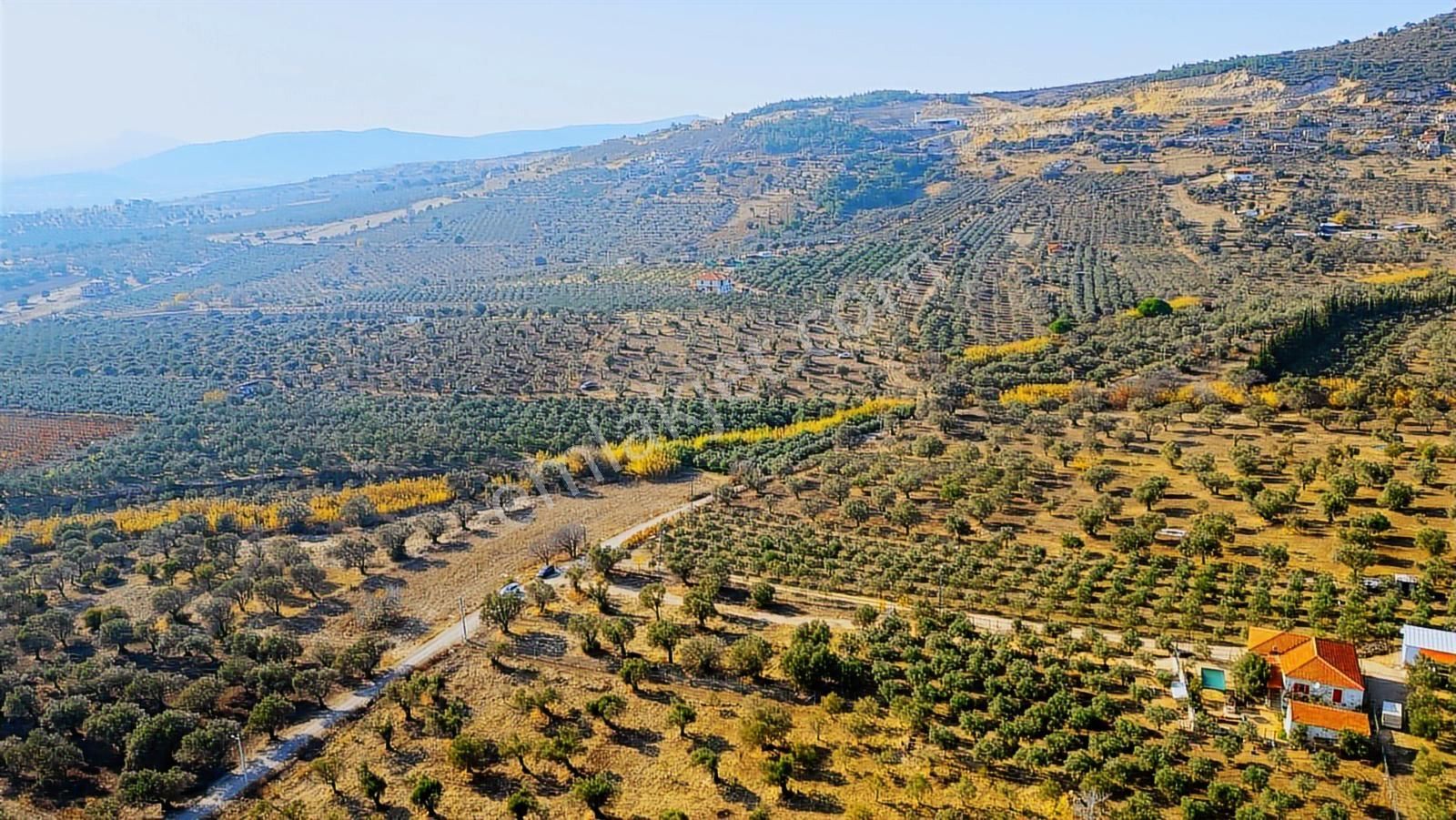 Foça Kocamehmetler'de Yol Üzeri Satılık 2 Dönüm Tarla - Görsel 10