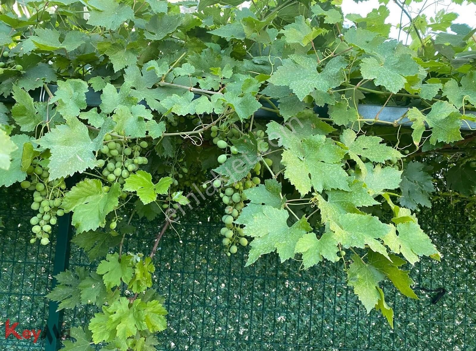 Dicle Üniversitesi Yakınında, Ortak Havuzlu Sitede Satılık Moder - Görsel 19