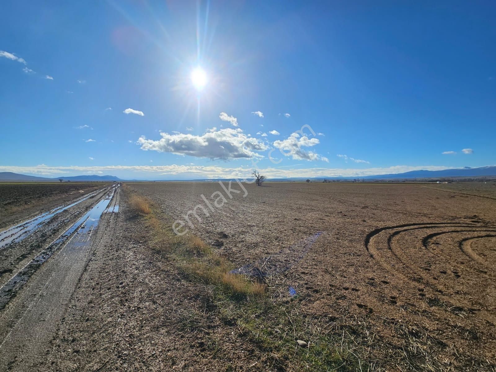🛑hatunsaray'da 4.274 M² Anayola Yakın Müstakil Bahçe - Görsel 19