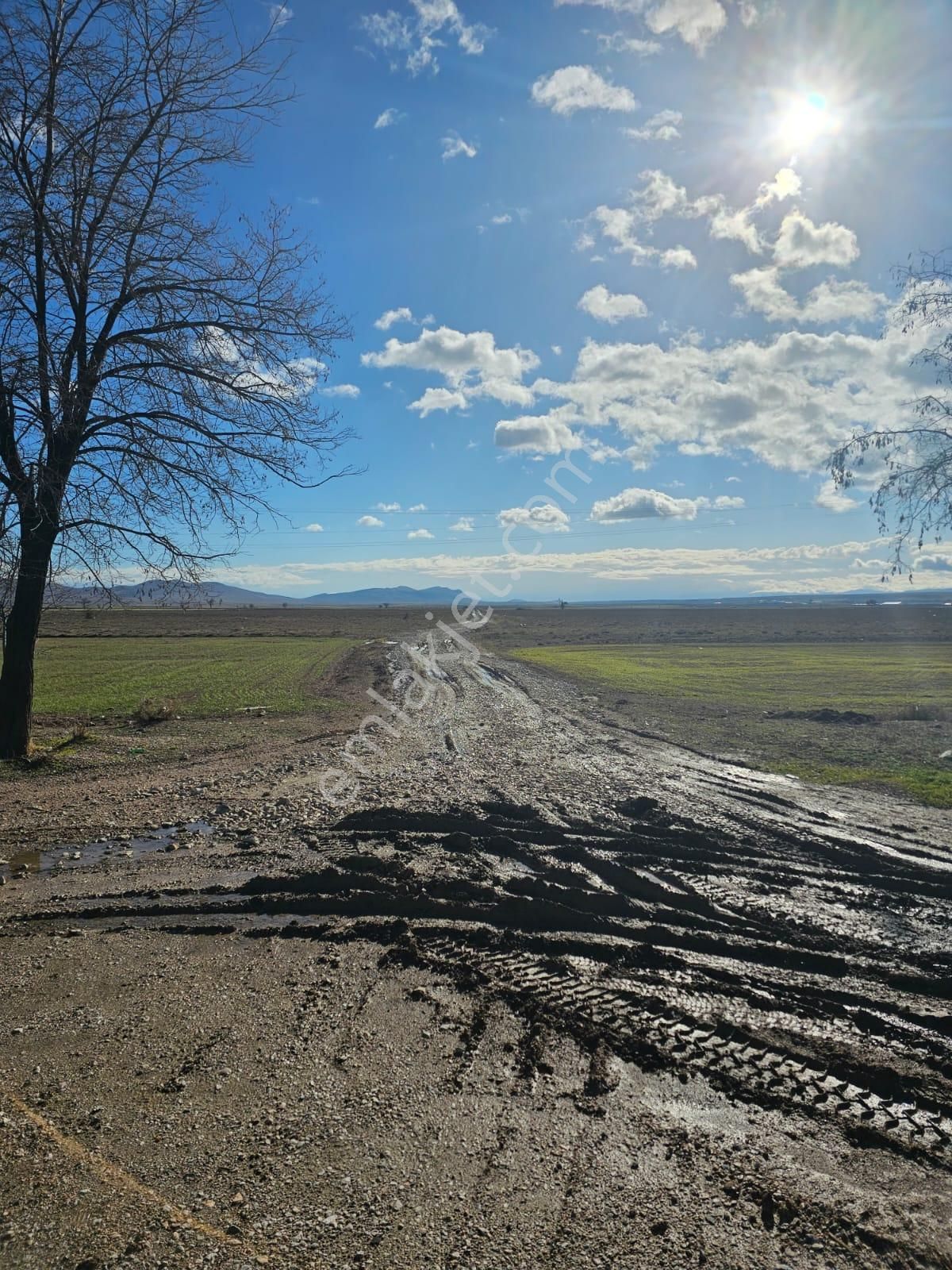 🛑hatunsaray'da 4.274 M² Anayola Yakın Müstakil Bahçe - Görsel 15