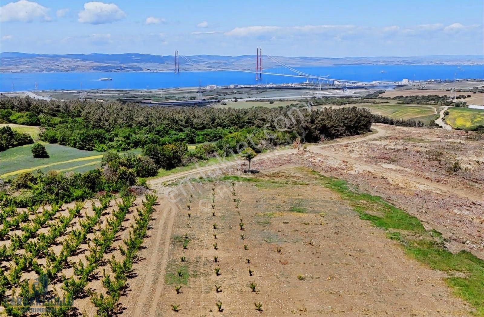 Çanakkale Lapseki Kocaveli Satılık Muhteşem Konumda Meyvelık