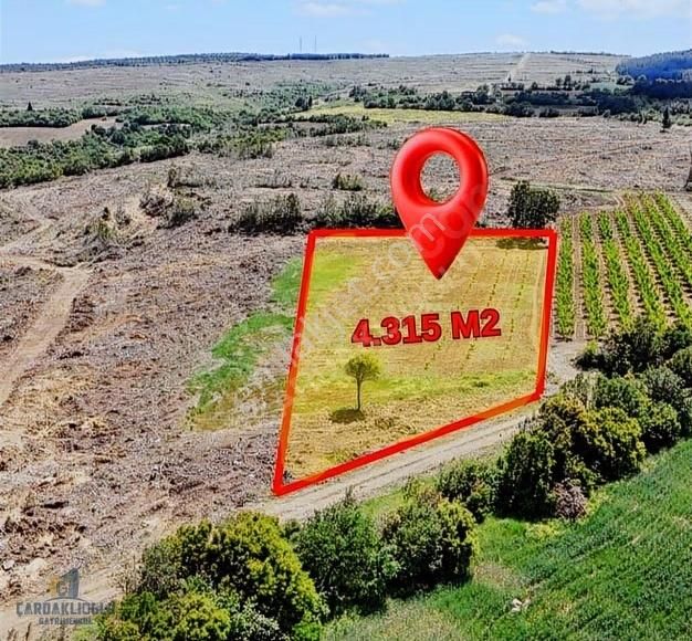 Çanakkale Lapseki Kocaveli Satılık Muhteşem Konumda Meyvelık - Görsel 5