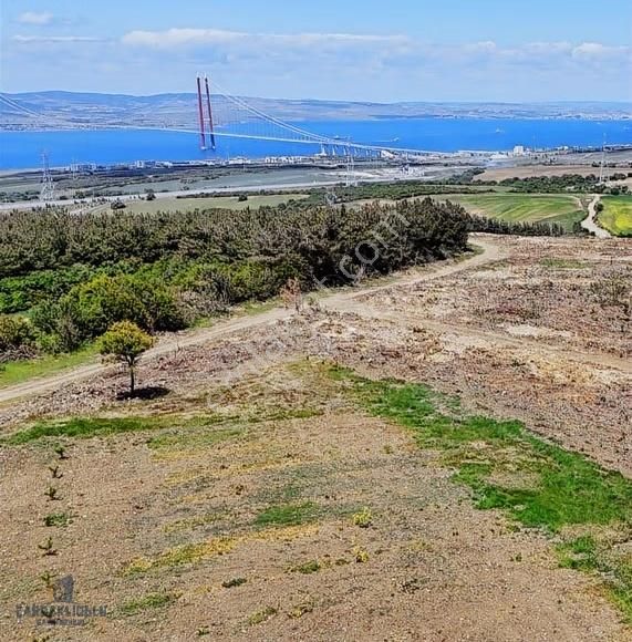 Çanakkale Lapseki Kocaveli Satılık Muhteşem Konumda Meyvelık - Görsel 2