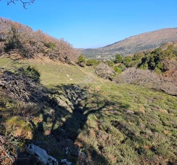 Çanakkale Gökçeada Tepeköyde Satılık Tarla - Görsel 4