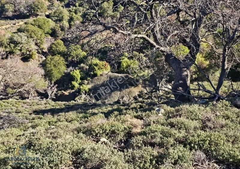 Çanakkale Gökçeada Tepeköyde Satılık Tarla - Görsel 11