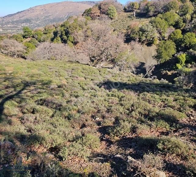 Çanakkale Gökçeada Tepeköyde Satılık Tarla - Görsel 13