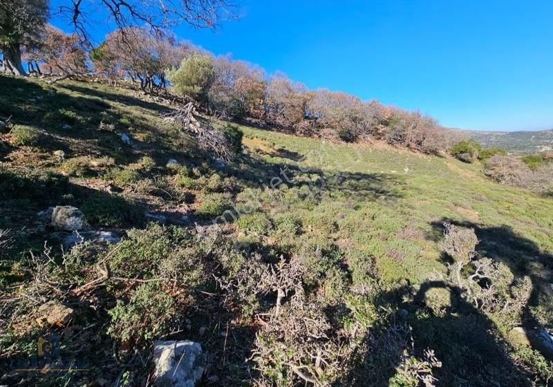 Çanakkale Gökçeada Tepeköyde Satılık Tarla - Görsel 3